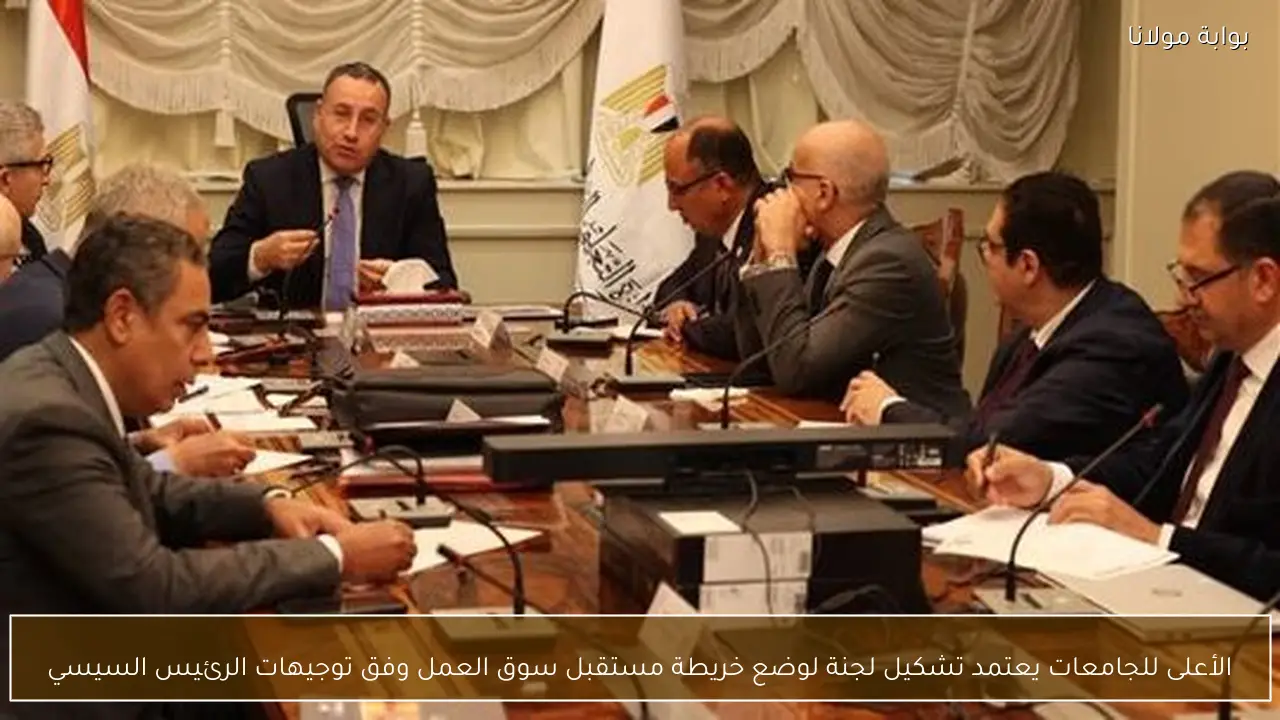 الأعلى للجامعات يعتمد تشكيل لجنة لوضع خريطة مستقبل سوق العمل وفق توجيهات الرئيس السيسي