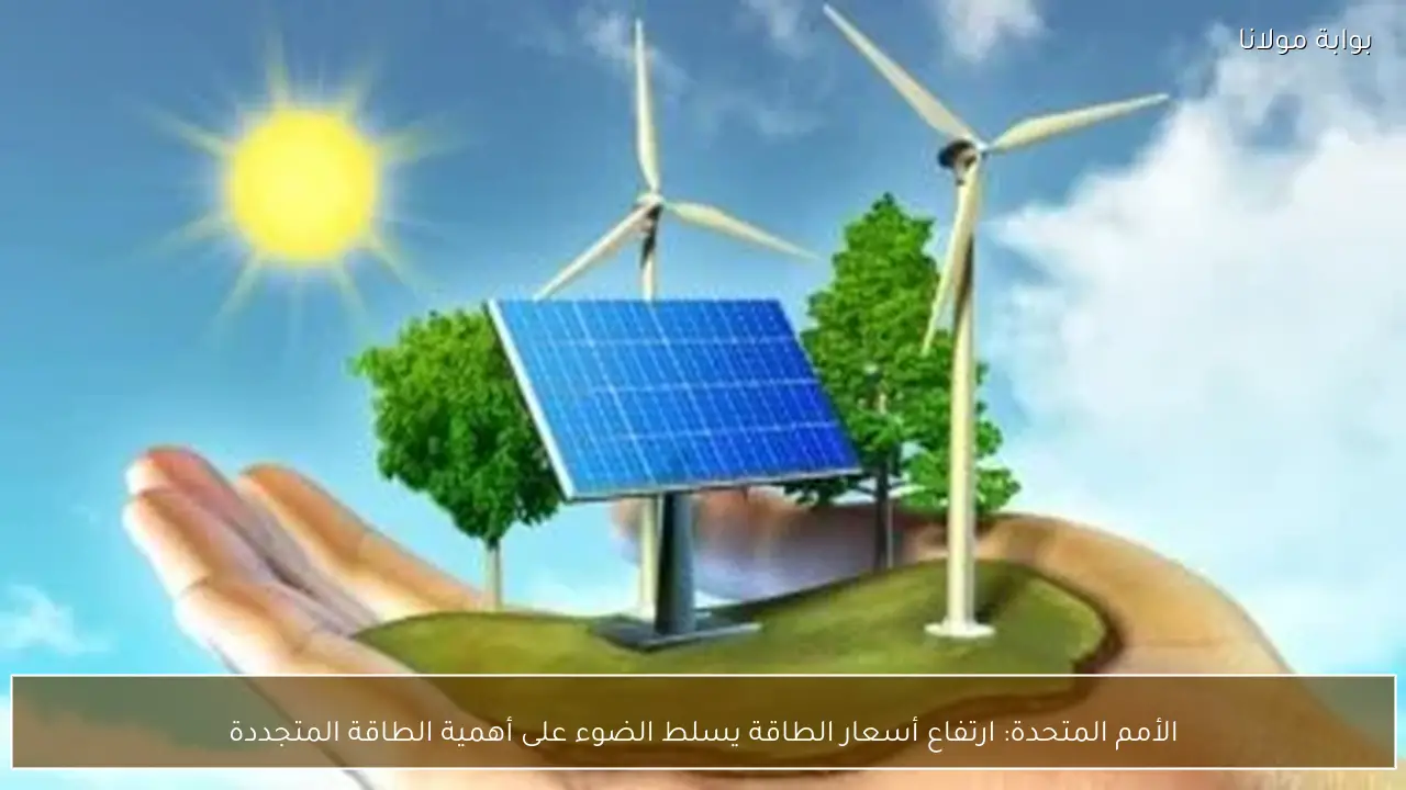 الأمم المتحدة: ارتفاع أسعار الطاقة يسلط الضوء على أهمية الطاقة المتجددة