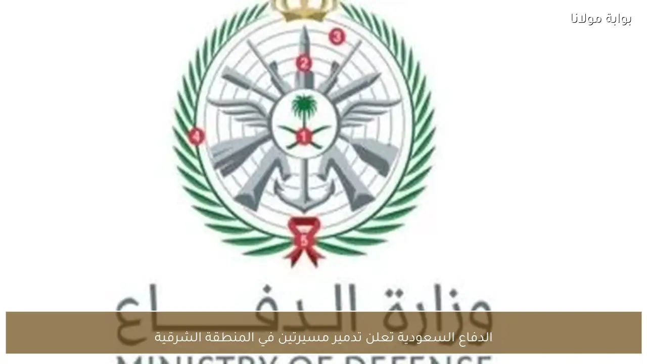 الدفاع السعودية تعلن تدمير مسيرتين في المنطقة الشرقية