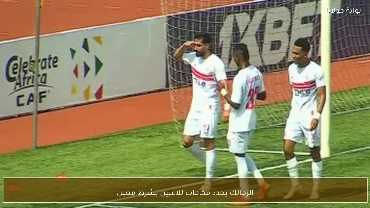 الزمالك يحدد مكافآت للاعبين بشرط معين
