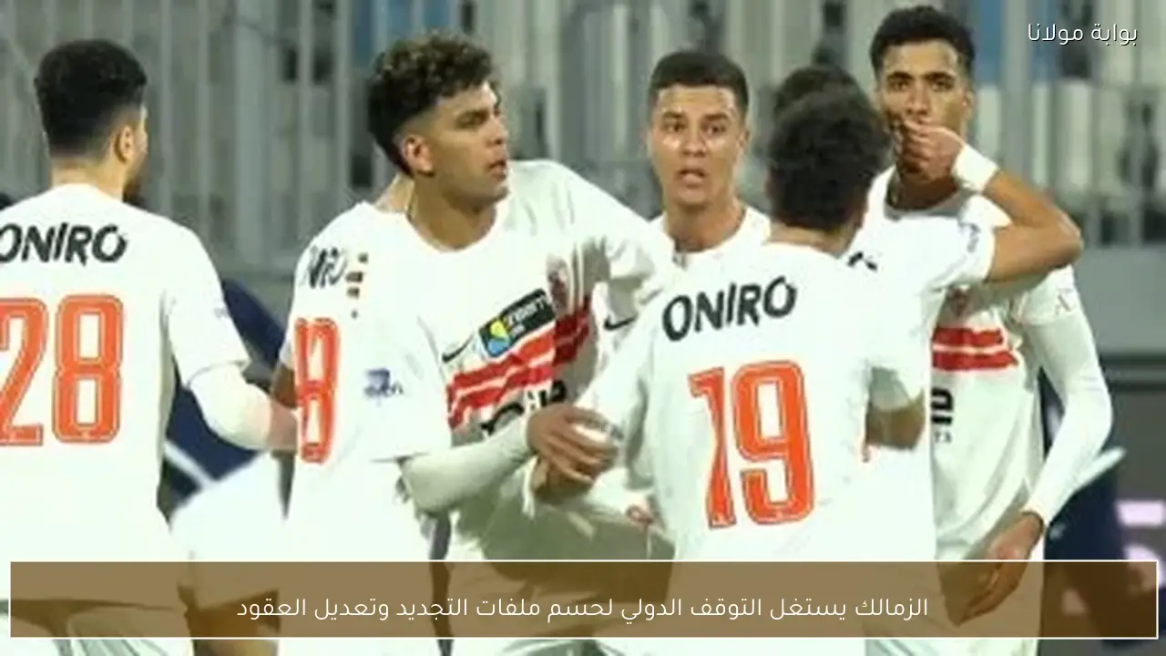 الزمالك يستغل التوقف الدولي لحسم ملفات التجديد وتعديل العقود