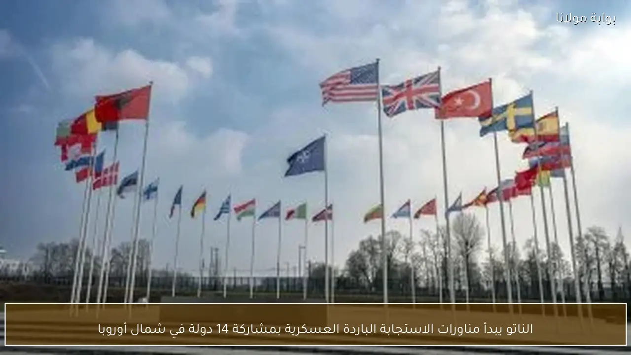 الناتو يبدأ مناورات الاستجابة الباردة العسكرية بمشاركة 14 دولة في شمال أوروبا