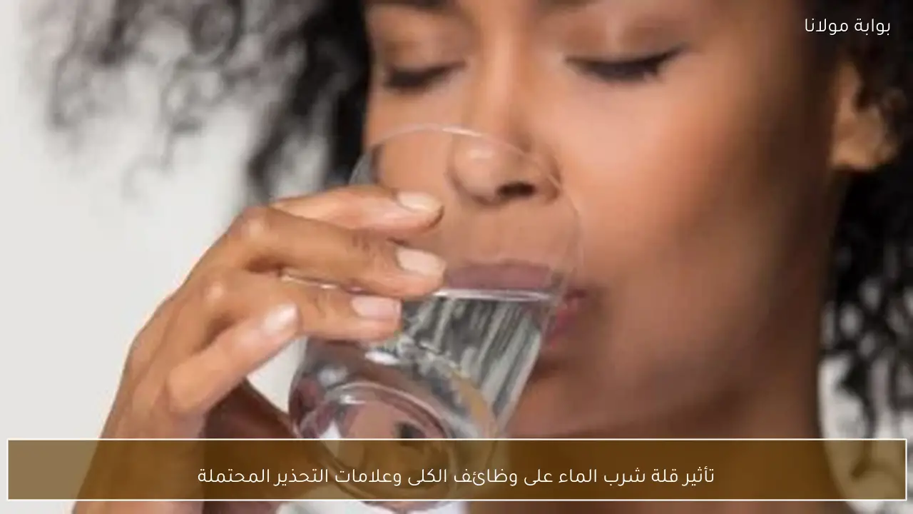 تأثير قلة شرب الماء على وظائف الكلى وعلامات التحذير المحتملة