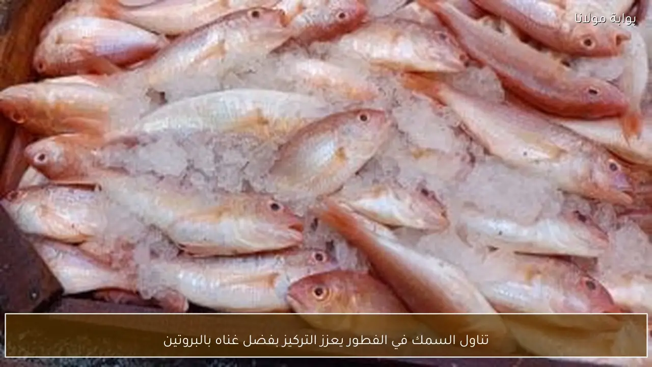 تناول السمك في الفطور يعزز التركيز بفضل غناه بالبروتين