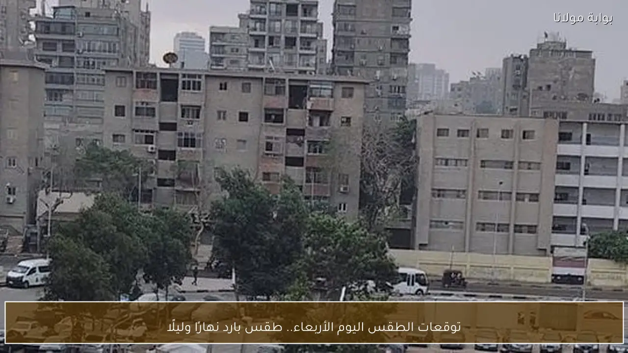 توقعات الطقس اليوم الأربعاء.. طقس بارد نهارًا وليلًا