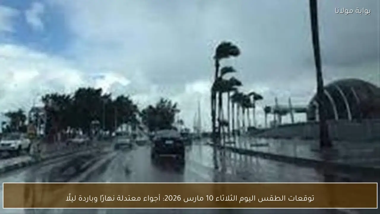 توقعات الطقس اليوم الثلاثاء 10 مارس 2026: أجواء معتدلة نهارًا وباردة ليلًا