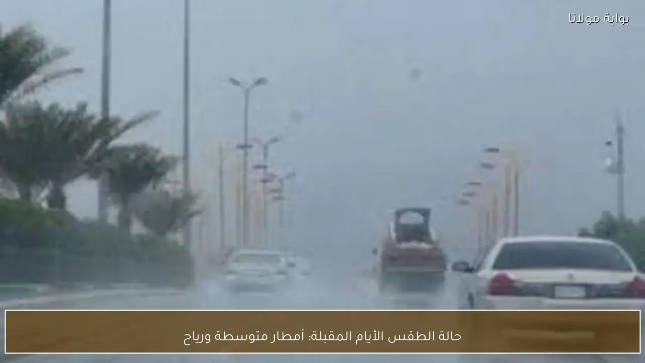 حالة الطقس الأيام المقبلة: أمطار متوسطة ورياح