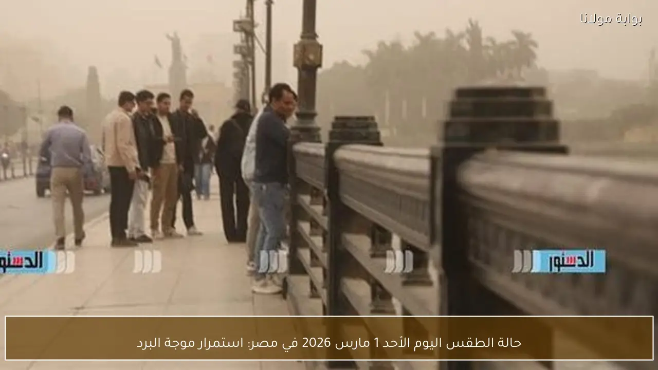 حالة الطقس اليوم الأحد 1 مارس 2026 في مصر: استمرار موجة البرد
