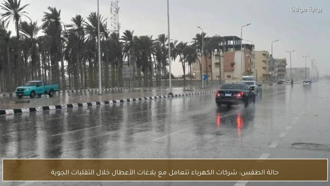 حالة الطقس: شركات الكهرباء تتعامل مع بلاغات الأعطال خلال التقلبات الجوية