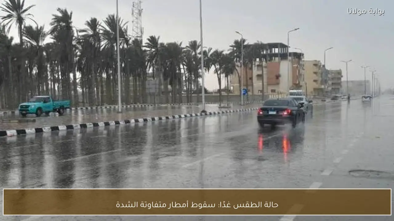 حالة الطقس غدًا: سقوط أمطار متفاوتة الشدة