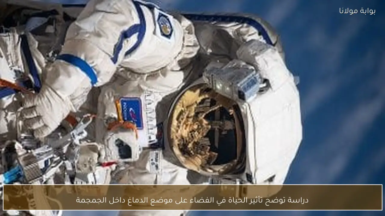 دراسة توضح تأثير الحياة في الفضاء على موضع الدماغ داخل الجمجمة