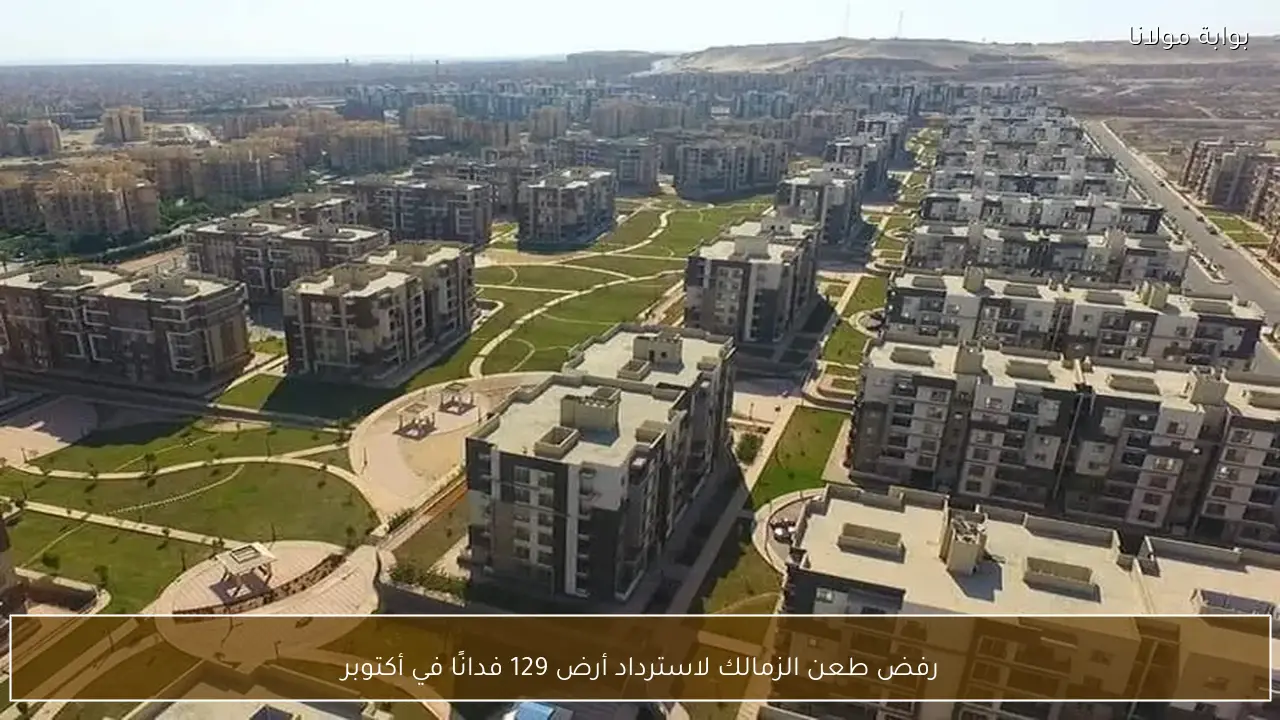 رفض طعن الزمالك لاسترداد أرض 129 فدانًا في أكتوبر