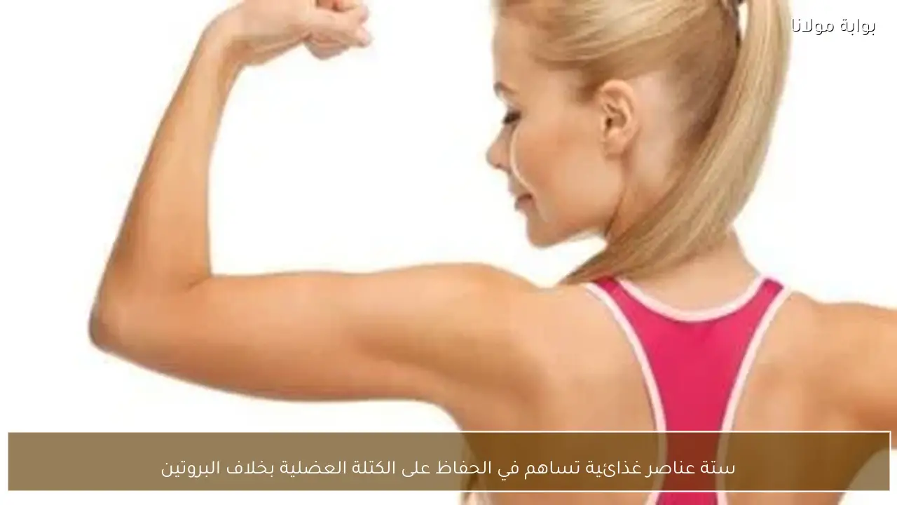 ستة عناصر غذائية تساهم في الحفاظ على الكتلة العضلية بخلاف البروتين