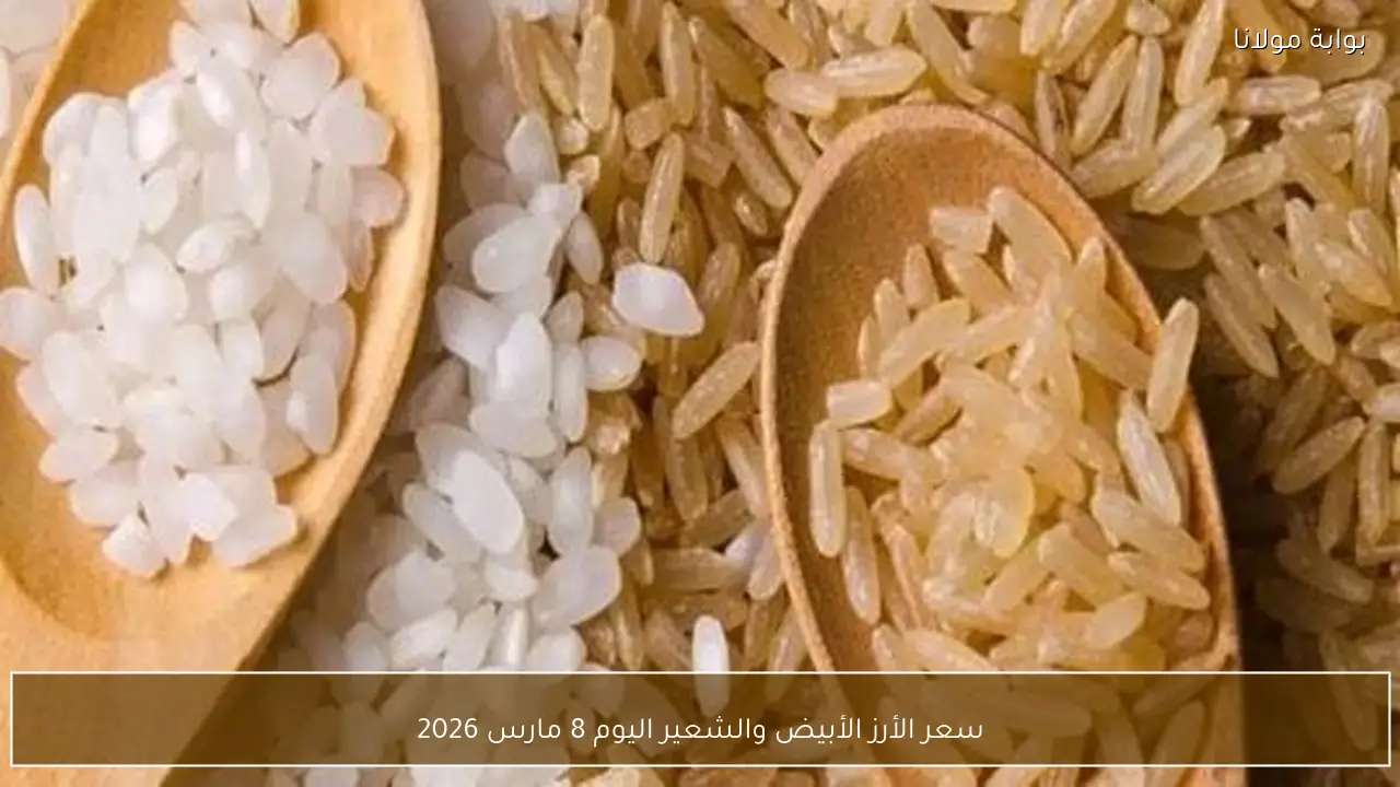 سعر الأرز الأبيض والشعير اليوم 8 مارس 2026