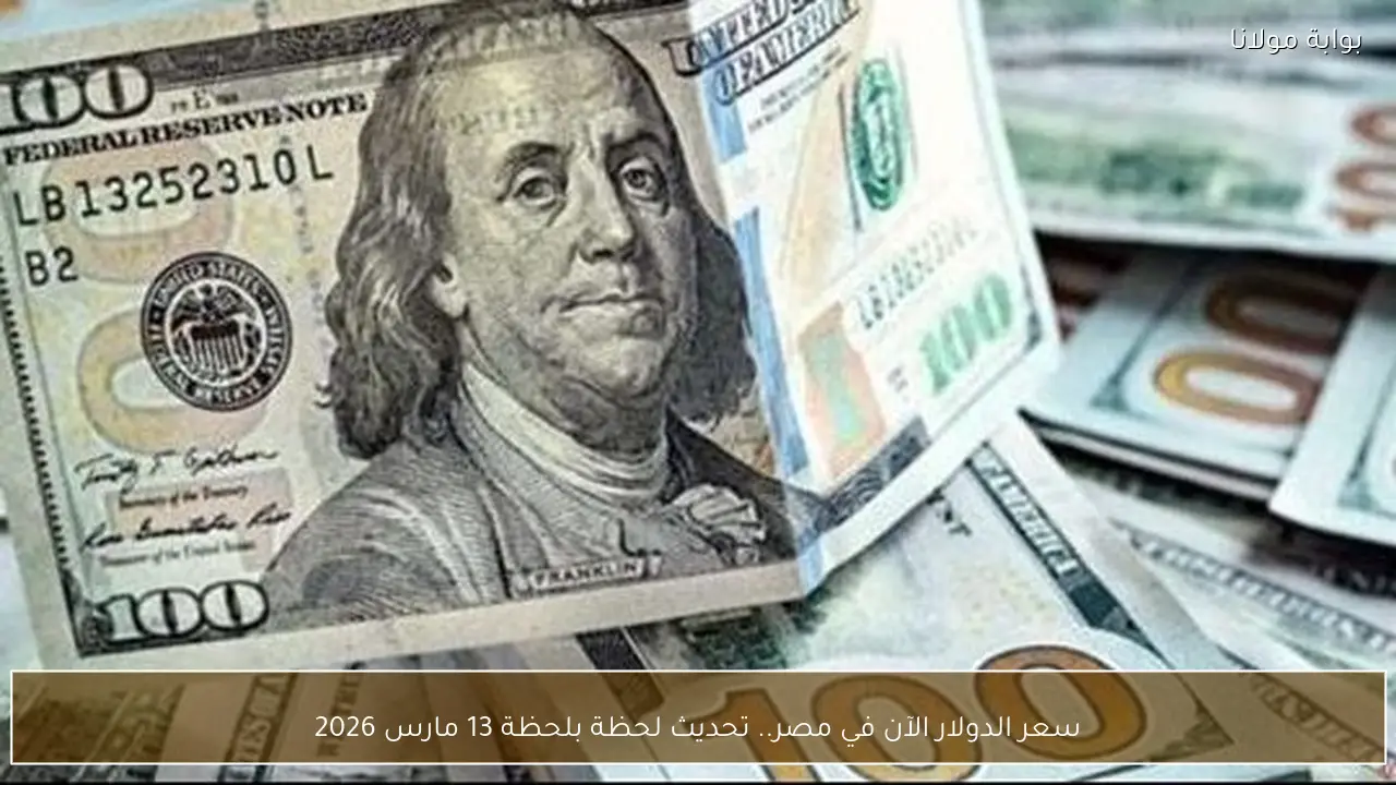 سعر الدولار الآن في مصر.. تحديث لحظة بلحظة 13 مارس 2026