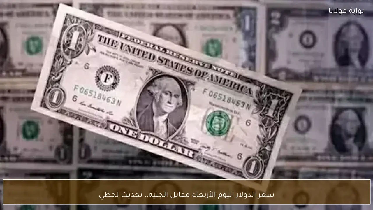 سعر الدولار اليوم الأربعاء مقابل الجنيه.. تحديث لحظي