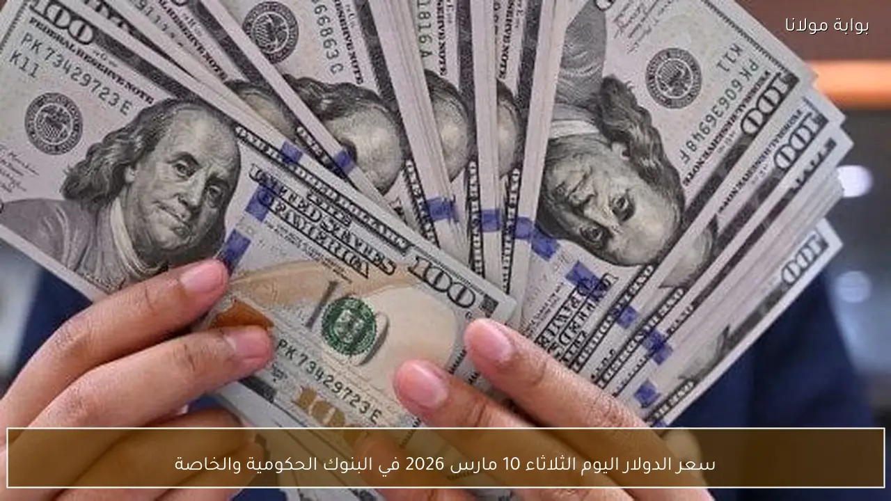 سعر الدولار اليوم الثلاثاء 10 مارس 2026 في البنوك الحكومية والخاصة