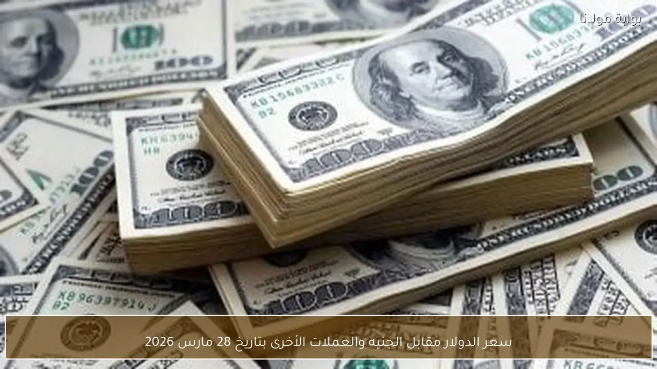 سعر الدولار مقابل الجنيه والعملات الأخرى بتاريخ 28 مارس 2026
