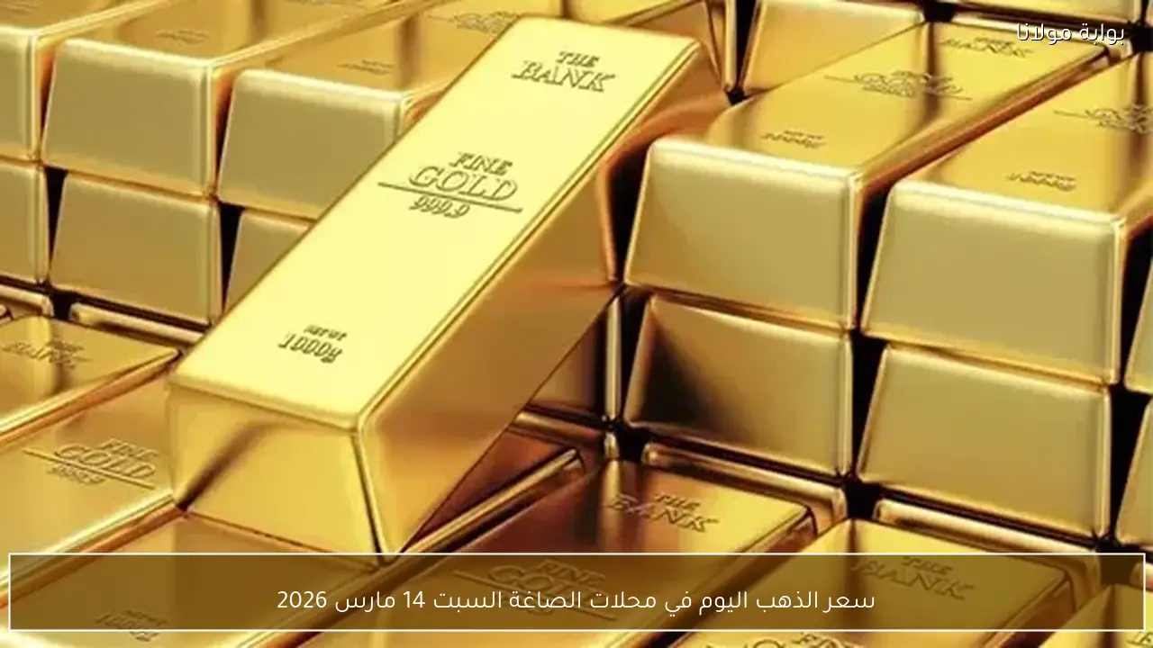 سعر الذهب اليوم في محلات الصاغة السبت 14 مارس 2026