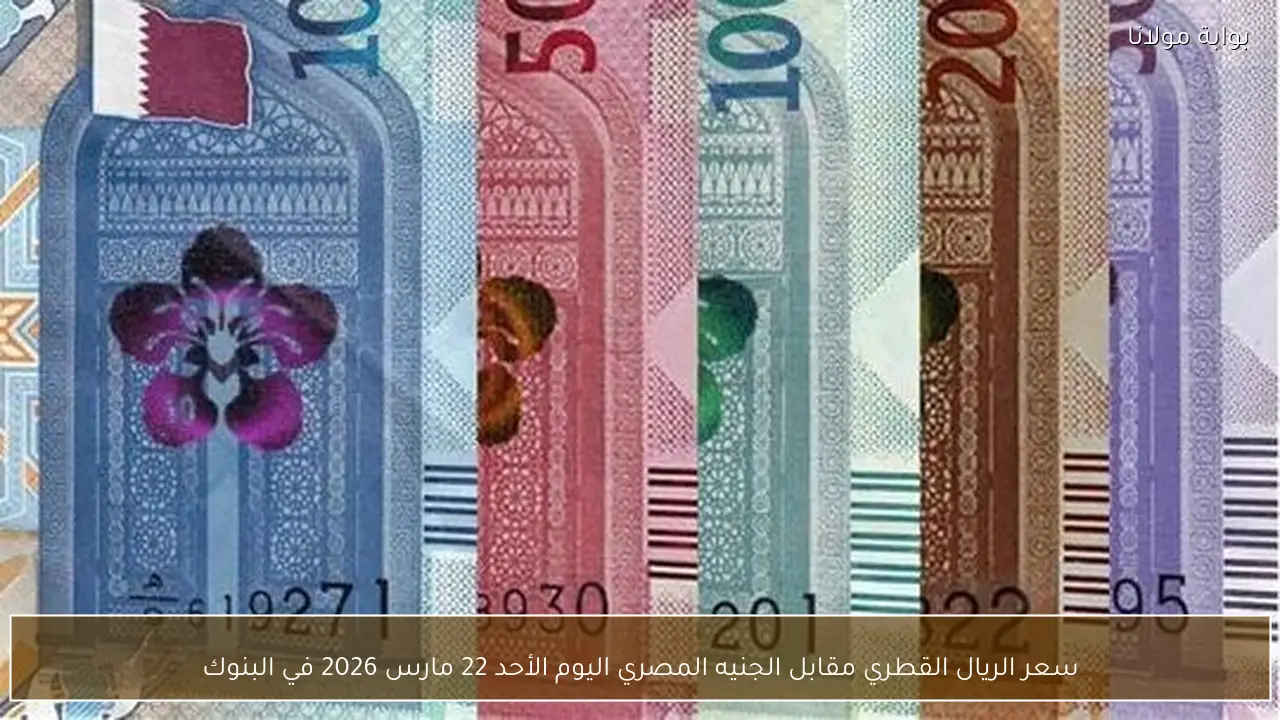 سعر الريال القطري مقابل الجنيه المصري اليوم الأحد 22 مارس 2026 في البنوك
