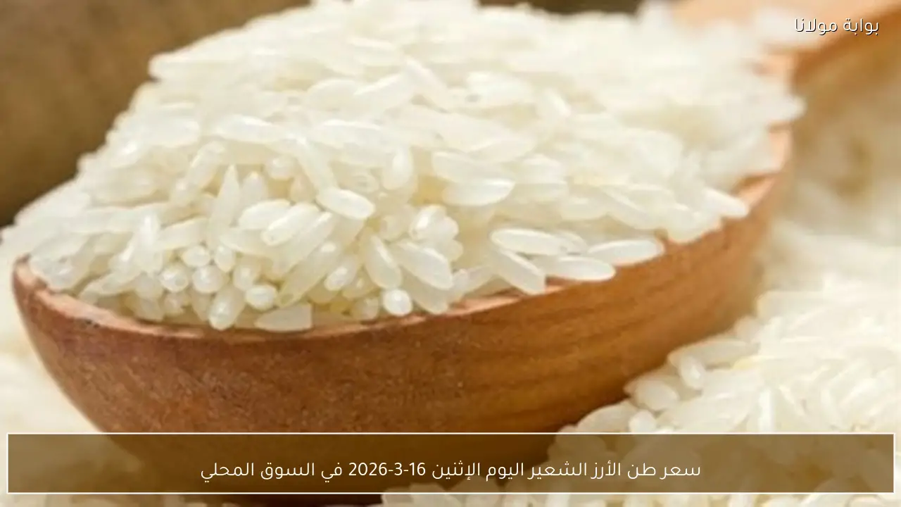 سعر طن الأرز الشعير اليوم الإثنين 16-3-2026 في السوق المحلي