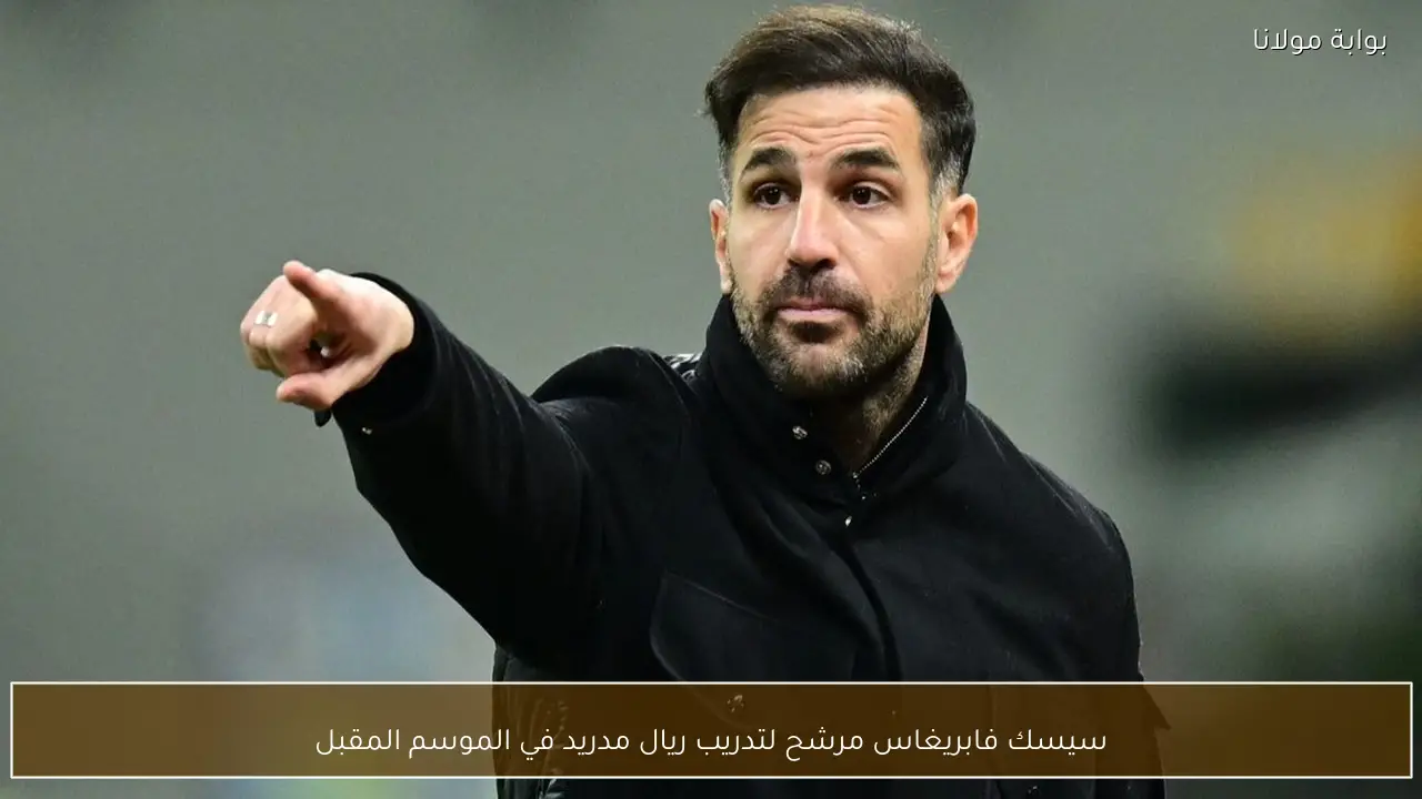 سيسك فابريغاس مرشح لتدريب ريال مدريد في الموسم المقبل