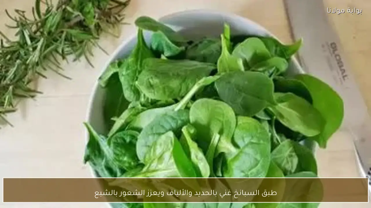 طبق السبانخ غني بالحديد والألياف ويعزز الشعور بالشبع
