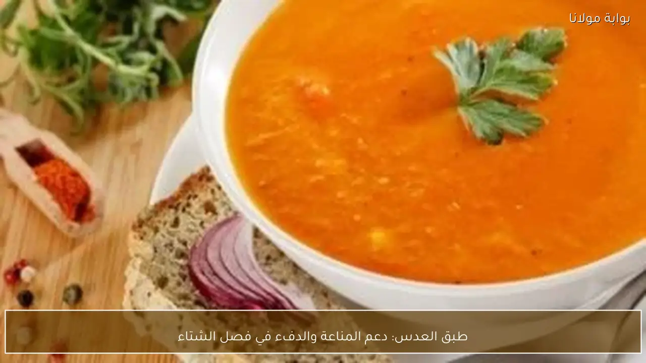 طبق العدس: دعم المناعة والدفء في فصل الشتاء