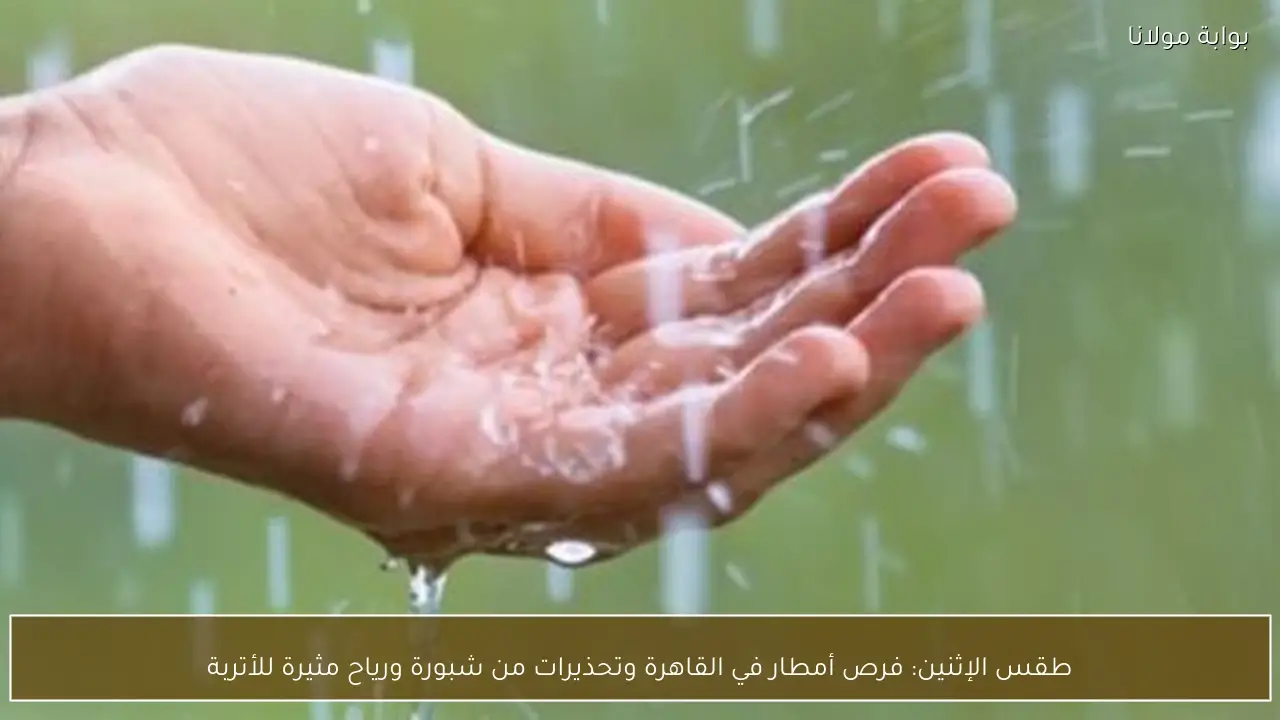 طقس الإثنين: فرص أمطار في القاهرة وتحذيرات من شبورة ورياح مثيرة للأتربة