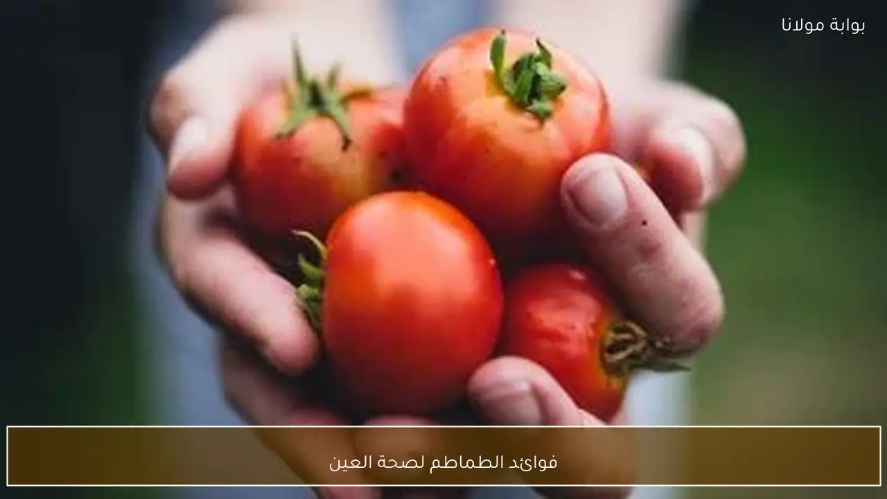 فوائد الطماطم لصحة العين