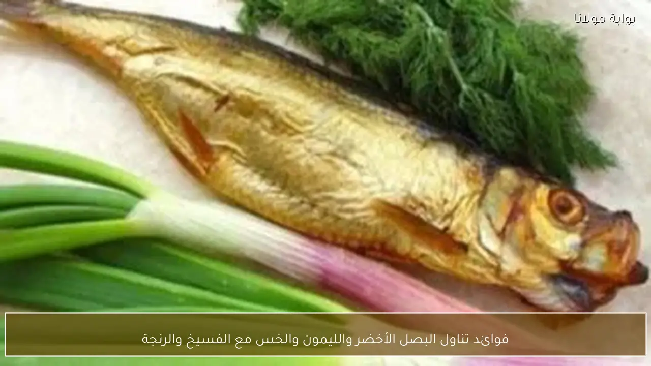 فوائد تناول البصل الأخضر والليمون والخس مع الفسيخ والرنجة