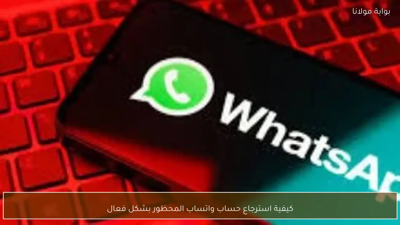 كيفية استرجاع حساب واتساب المحظور بشكل فعال