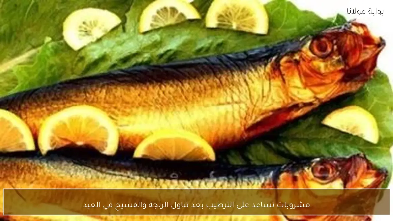 مشروبات تساعد على الترطيب بعد تناول الرنجة والفسيخ في العيد