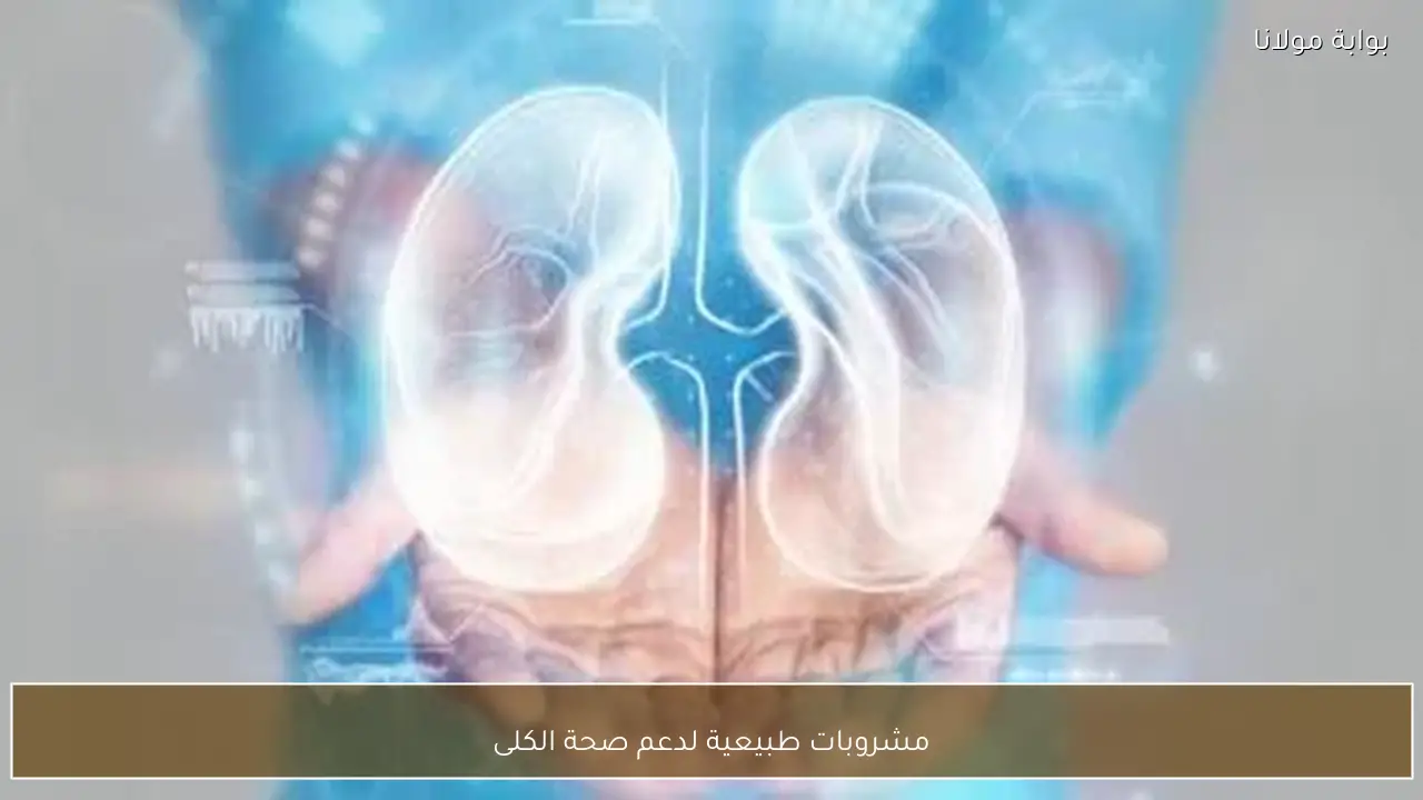 مشروبات طبيعية لدعم صحة الكلى