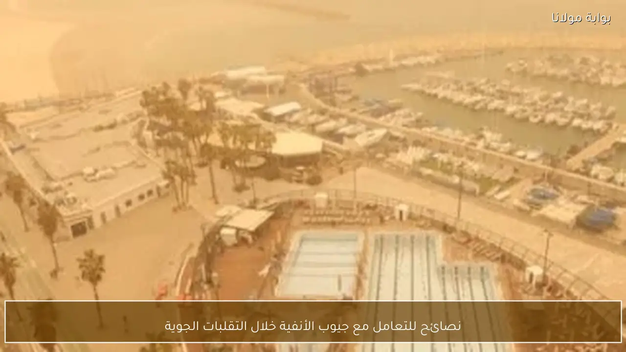 نصائح للتعامل مع جيوب الأنفية خلال التقلبات الجوية