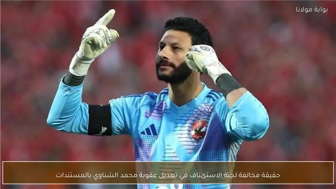 حقيقة مخالفة لجنة الاستئناف في تعديل عقوبة محمد الشناوي بالمستندات