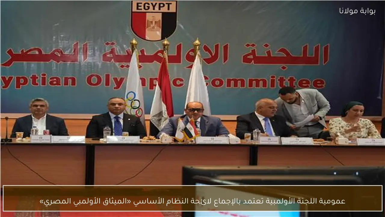 عمومية اللجنة الأولمبية تعتمد بالإجماع لائحة النظام الأساسي «الميثاق الأولمبي المصري»